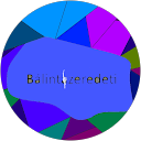 Bálint profilképe